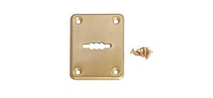 Накладка декоративная Apecs DP-S-01-GM