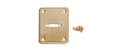 Накладка декоративная Apecs DP-S-01-GM