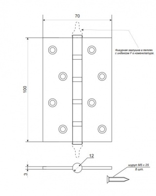 Петля Apecs 100*70 B4-Steel-G_2